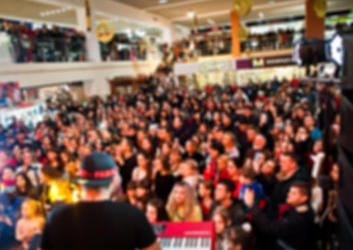 Celebrity Artist Shows